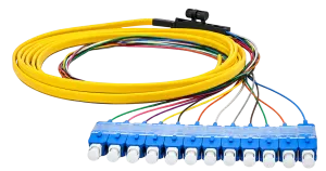 Pigital SC SM Fiber
